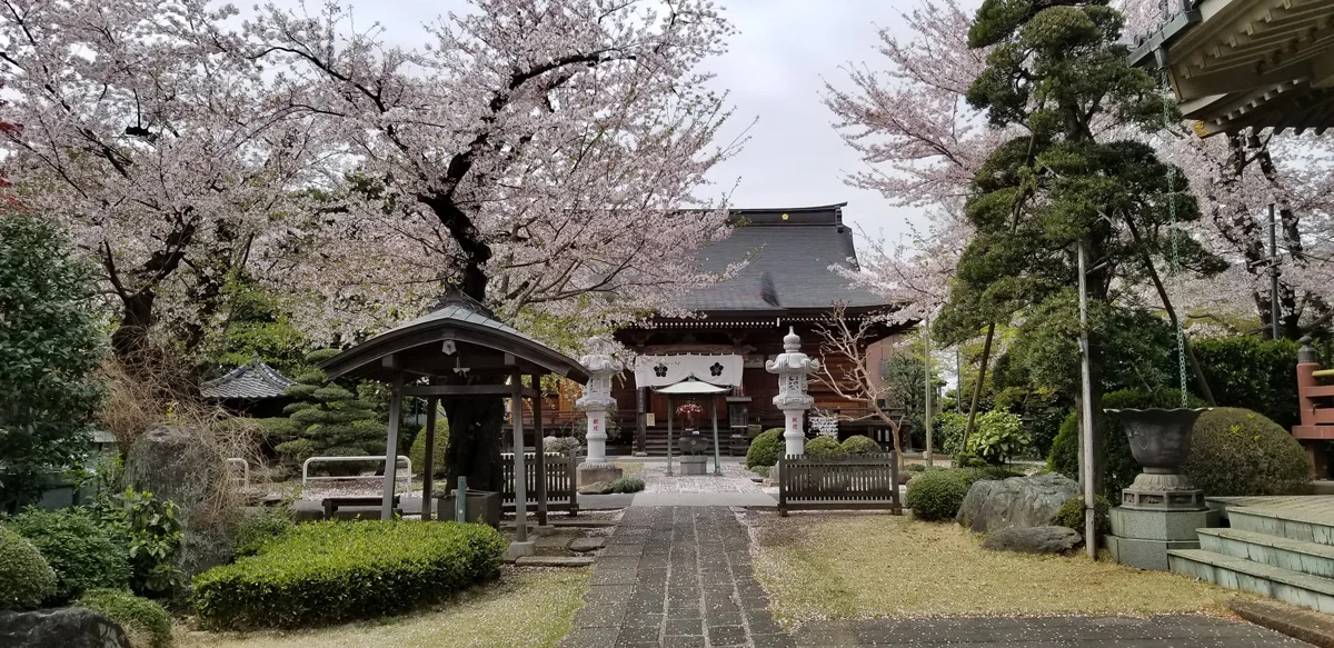 慈林薬師会館の外観